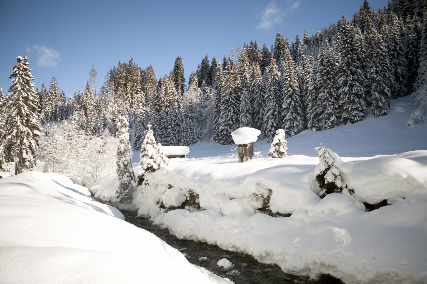 Walking Leogang